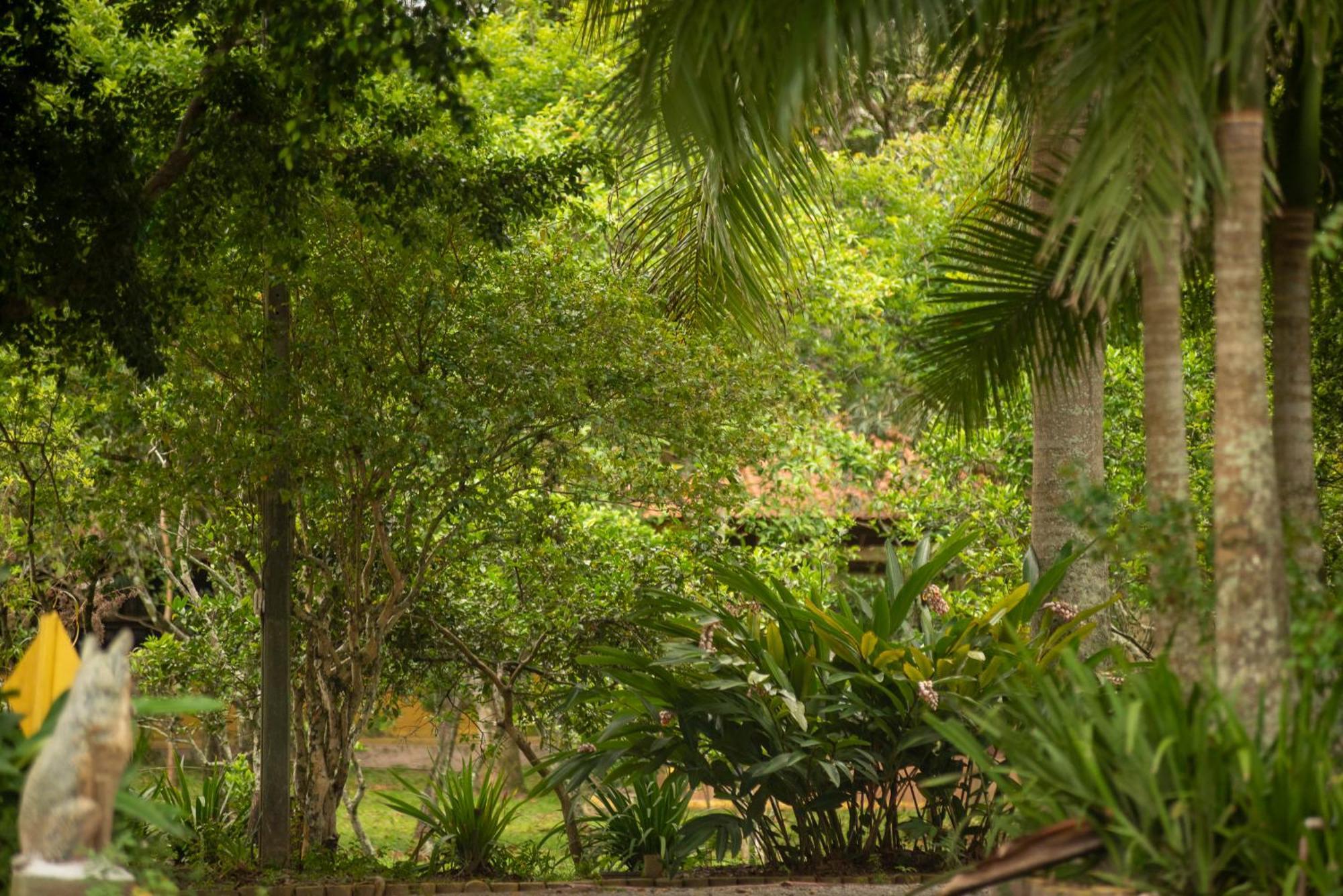 Pousada Chacara Rio Jordao Флорианополис Экстерьер фото